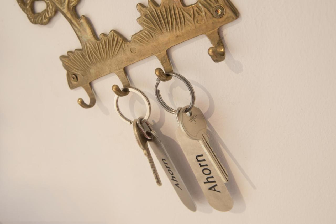 צל אם צילר Appartement Schneeberger מראה חיצוני תמונה